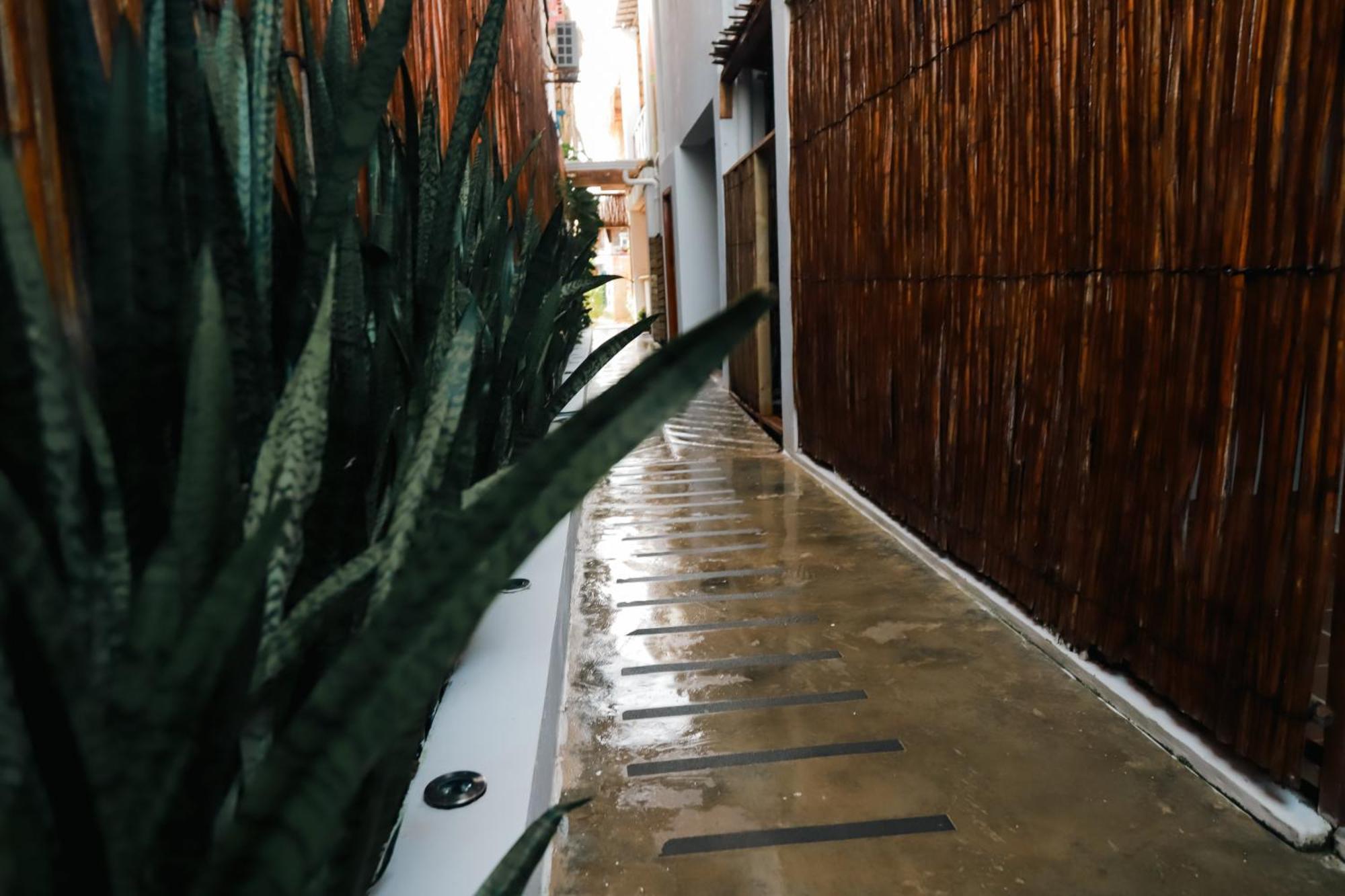 Hostal Casa En La Cienaga Rincon Del Mar Εξωτερικό φωτογραφία
